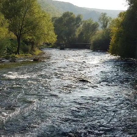 Sest Izvora- *